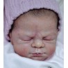 Kit PRECIOUS GIFT (20') de Cindy Musgrove
