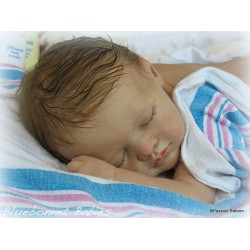 Kit reborn KATE (20')