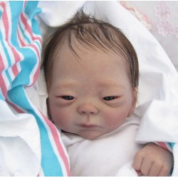 Kit KAMEKO (20') de Tasha Edenholm