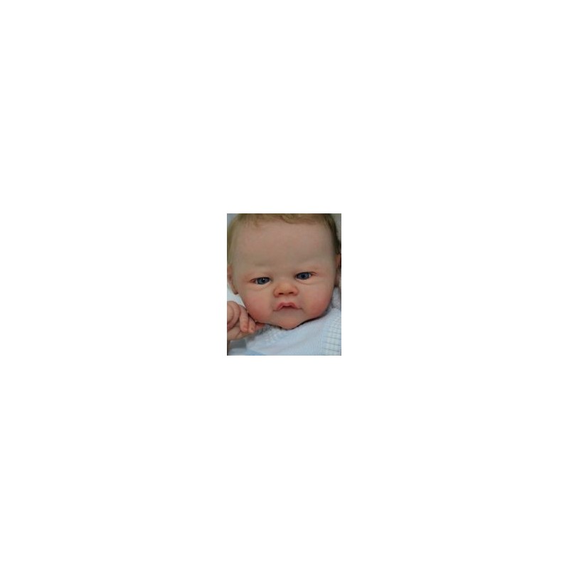 Kit LDC EMORY (53 cm) de Sandy Faber Kit LDC EMORY (53 cm) de Sandy Faber