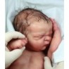 Kit MAGGIE 20' de Cindy Musgrove