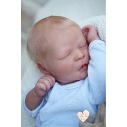 Kit "Realborn" DARREN (19')
