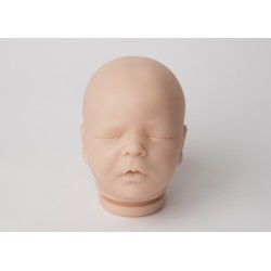 Kit "Realborn" DARREN (19')