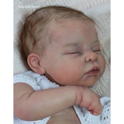 AMY "THE CRADLE KIT" (19'),  body et torso inclus
