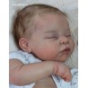 AMY "THE CRADLE KIT" (19'),  body et torso inclus