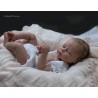 AMY "THE CRADLE KIT" (19'),  body et torso inclus