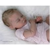 AMY "THE CRADLE KIT" (19'),  body et torso inclus