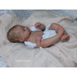 AMY "THE CRADLE KIT" (19'),  body et torso inclus