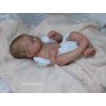 AMY "THE CRADLE KIT" (19'),  body et torso inclus