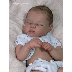 AMY "THE CRADLE KIT" (19'),  body et torso inclus