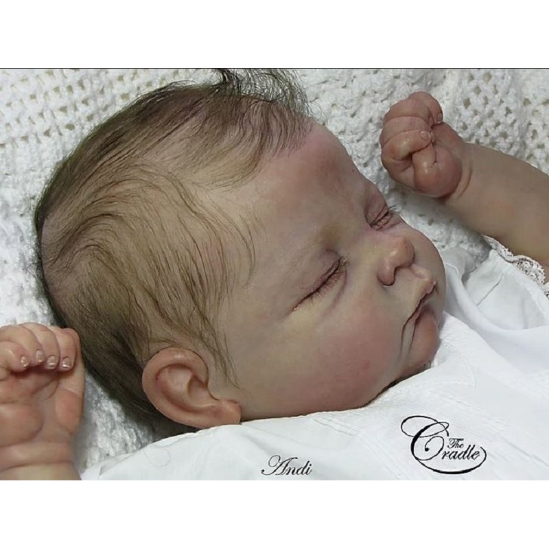 ANDI, the Cradle kit