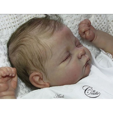ANDI, the Cradle kit ANDI, the Cradle kit