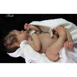 ANDI "THE CRADLE KIT" (20'), body suédé inclus