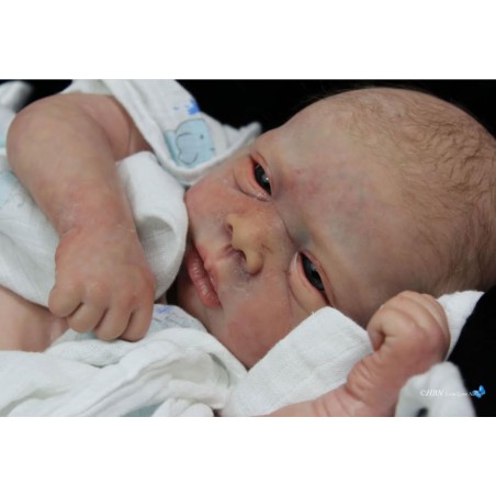 Kit reborn MICHELLE de Evelina Wosnjuk Kit reborn MICHELLE de Evelina Wosnjuk