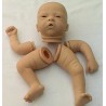 Kit ELODIE (20') de Evelina WOSNJUK