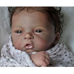 Kit ELODIE (20') de Evelina WOSNJUK