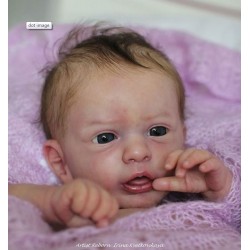 Aleyna reborn kit shop