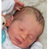 Kit Realborn STEVEN