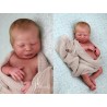 Kit Realborn SAGE (18'), Nouveauté 2021