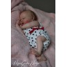 Kit Realborn HARLOW (21'), Nouveauté 2021