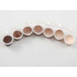 Set de peintures à cuire FLESH