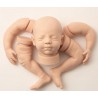 Kit SILICONE STEVEN (19')