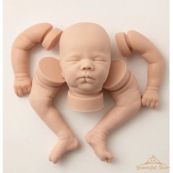Kit reborn SILICONE FELICITY (19')