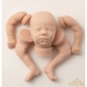 Kit reborn SILICONE FELICITY (19')