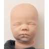 Kit reborn SILICONE FELICITY (19')