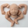 Kit SILICONE DARREN (19')
