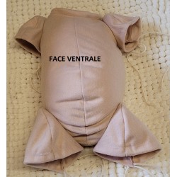 BODY DBC bras 3/4 et jambes 3/4