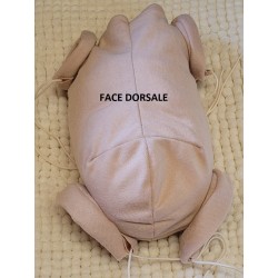 NOUVELLE GAMME DE BODY  DBC