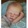 Kit "Realborn" (20') QUINN