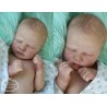 Kit "Realborn" (19') QUINN