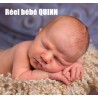 Kit "Realborn" (19') QUINN