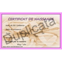 CERTIFICAT DE NAISSANCE