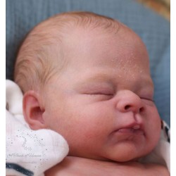 Kit reborn THEO de Doris Moyers Hornogen