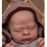 Kit THEO (19') en pré-order de Doris Moyers Hornbogen