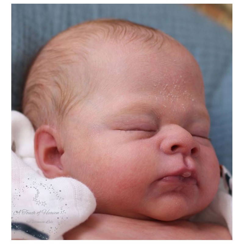 Kit reborn THEO de Doris Moyers Hornogen