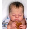 Kit THEO (19') de Doris Moyers Hornbogen