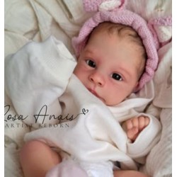 Kit LILLEGRODA (18') en pré-order de Sabine Altenkirch