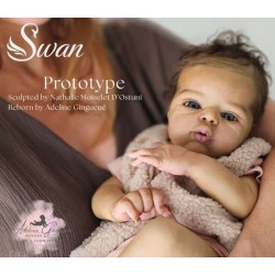 Kit SWAN (19') en pré-order de Nathalie Moiselet
