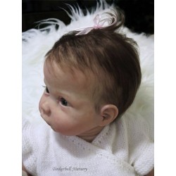 BOBBIE GIRL "THE CRADLE KIT" (20'),  body et torso inclus