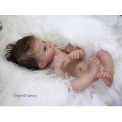 BOBBIE GIRL "THE CRADLE KIT" (20'),  body et torso inclus