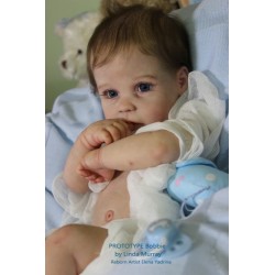BOBBIE BOY  "THE CRADLE KIT" (20'), body et torso inclus