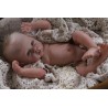 BOBBIE BOY  "THE CRADLE KIT" (20'), body et torso inclus