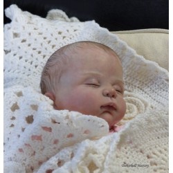 LYDIA "THE CRADLE KIT" (20'), plaque ventrale et body inclus
