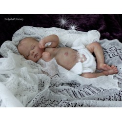 LYDIA "THE CRADLE KIT" (20'), plaque ventrale et body inclus