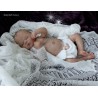 LYDIA "THE CRADLE KIT" (20'), plaque ventrale et body inclus