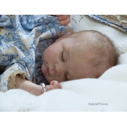 LYDIA "THE CRADLE KIT" (20'), plaque ventrale et body inclus
